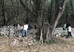 Restauration de petit patrimoine en pierres sèche